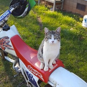 Meet your Posher, Tyler